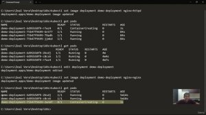 03. Domain 2 - Application Design and Build