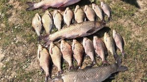 Волжские зарисовки