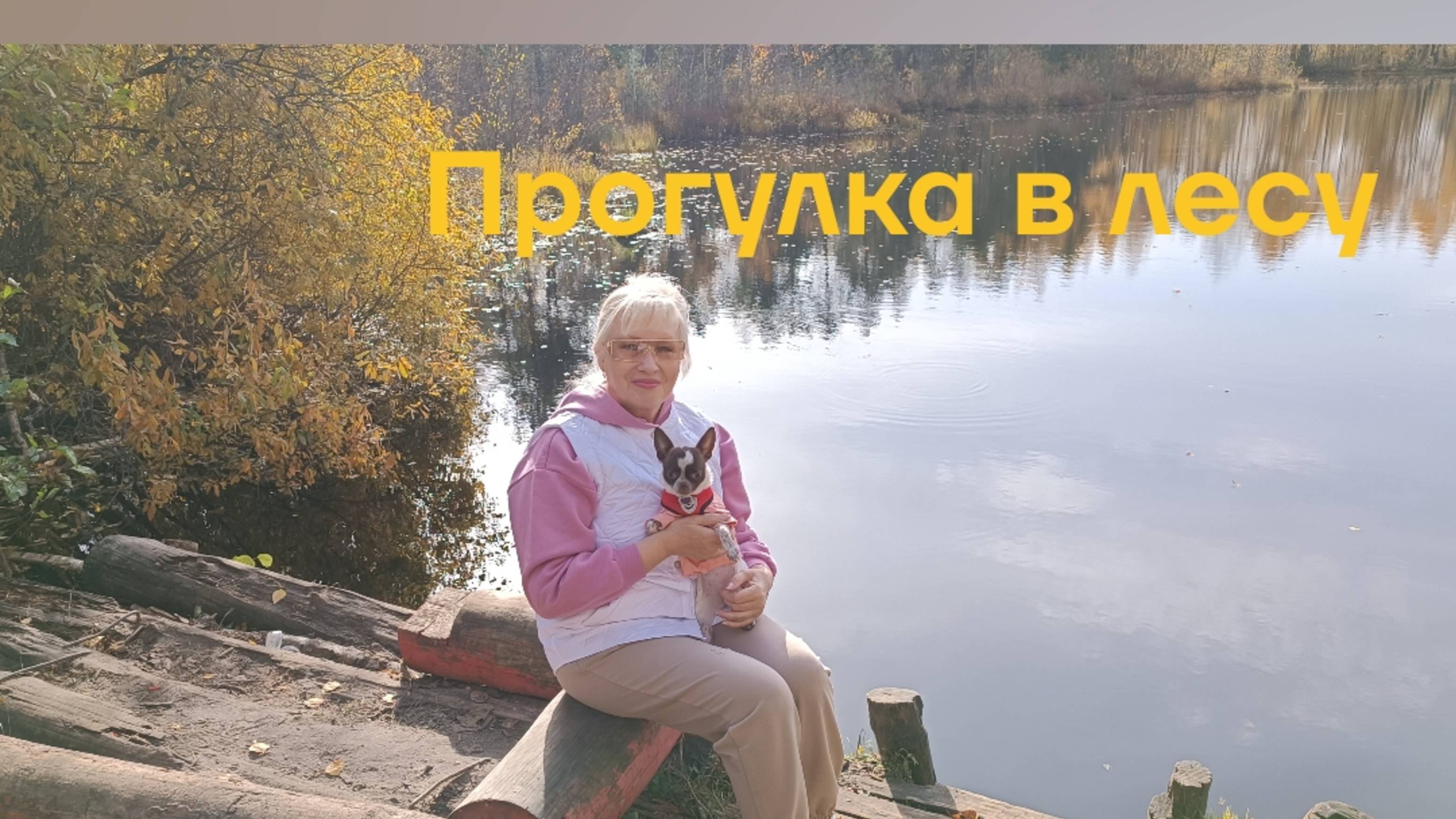 💥 Прогулка в осеннем лесу 🍂🍂🍂
