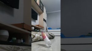 я играю в бутылочку