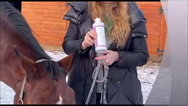 Как избавиться от ХОБЛ у лошадей с помощью ЭМ-Вита (Магистр_окт-дек Владивосток)