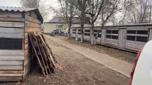 Доброе утро.