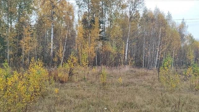 VID_20251010_084002