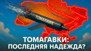 🤔 Дэниел Дэвис | Роковая ошибка Пентагона: Почему ставка на «Томагавки» лишь приближает крах Киева