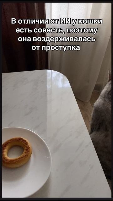 10-10-2025