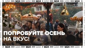 Гастрономический фестиваль «Московских сезонов» проходит на Манежной площади — Москва 24 | Контент