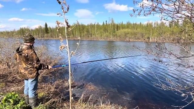Мощная щука на спиннинг