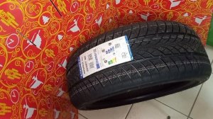 обзор на шину Triangle Winter X TW401 липучка