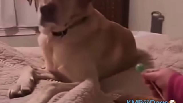 Кушаешь сам, поделись с друзьями😛😄