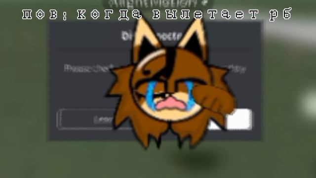 😭😭😭😭😭Риииииил