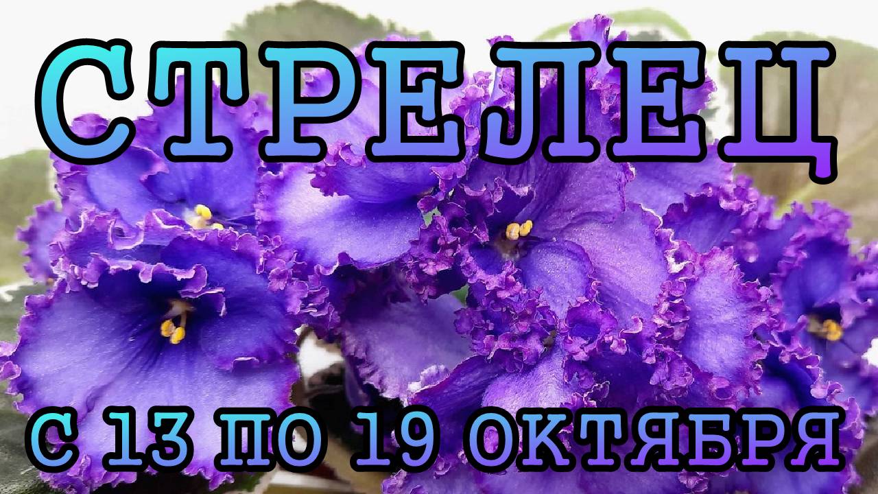 СТРЕЛЕЦ таро прогноз на неделю с 13 по 19 ОКТЯБРЯ 2025 года.