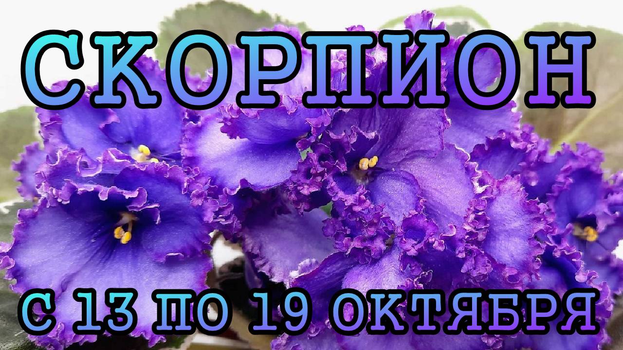 СКОРПИОН таро прогноз на неделю с 13 по 19 ОКТЯБРЯ 2025 года.