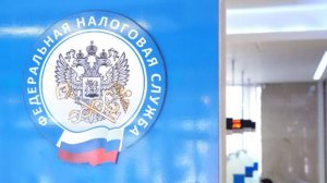 В ФНС заявили о необходимости комплексного реформирования механизма банкротства