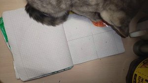 наклейки √2