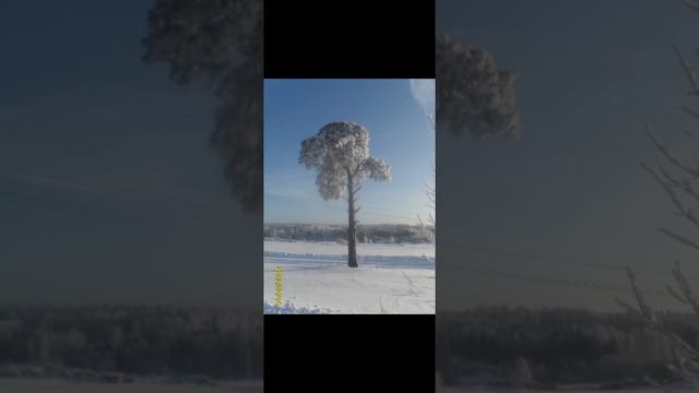 КАЙТЫРСЫЗ ӘЛЕ БЕР