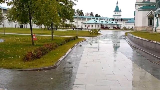 Виноград у Воскресенского  собора. 8 октября