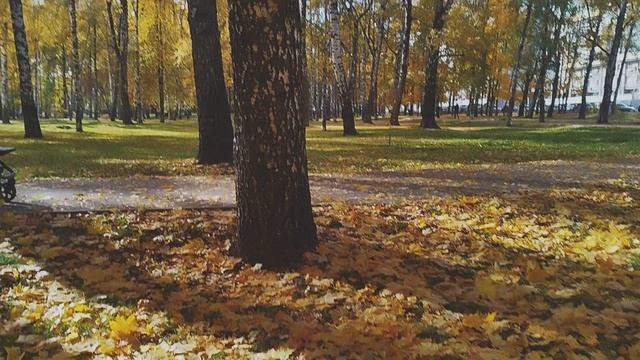 Золотая осень в парке 🍁