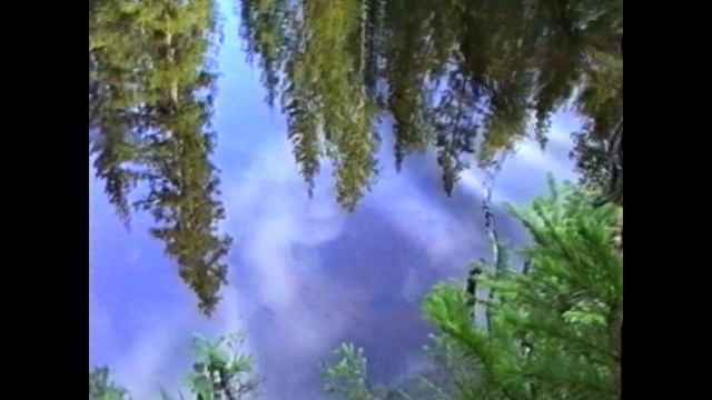 Кувшинки