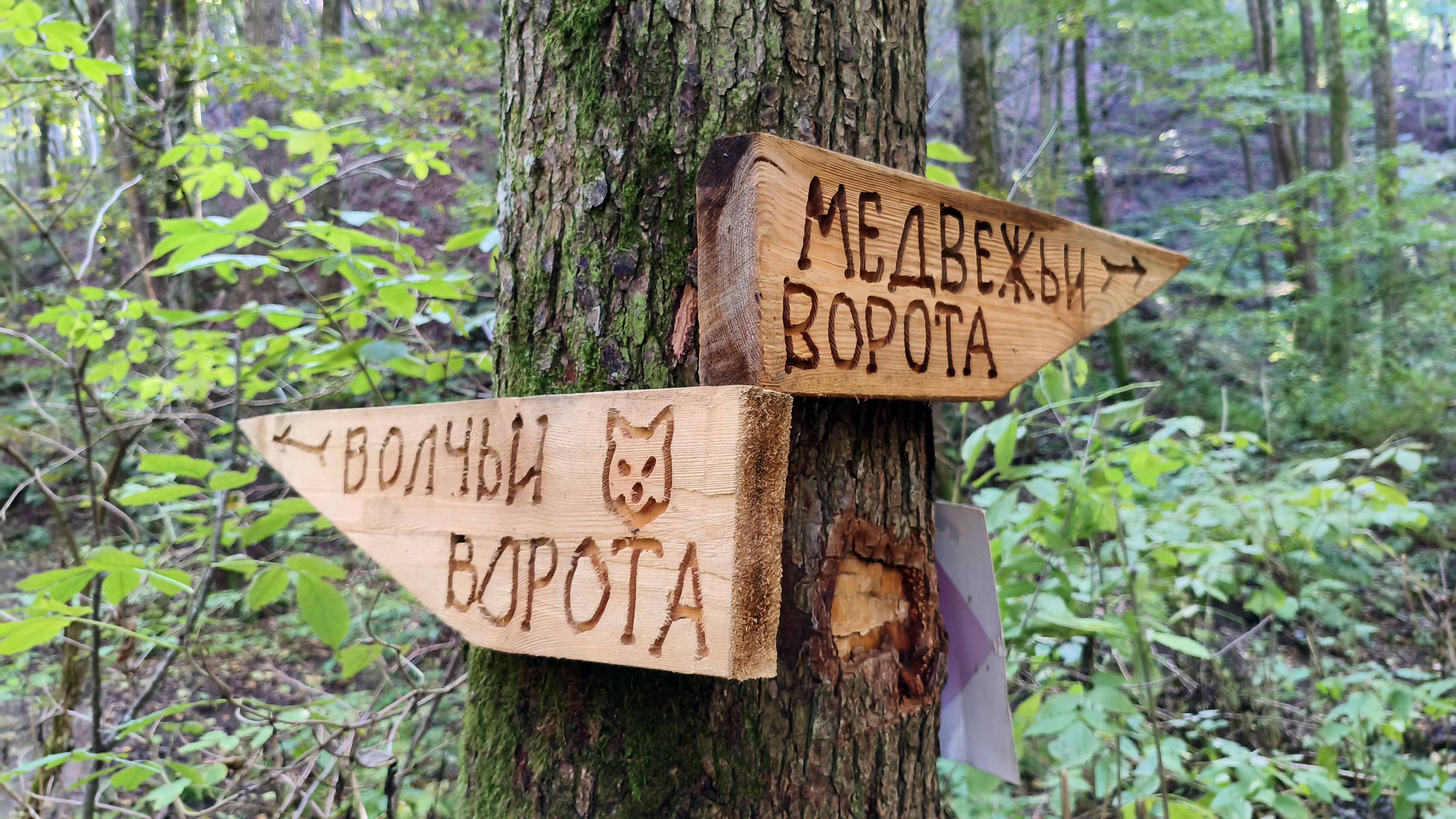 Волчьи и Медвежьи ворота (Чибийское ущелье), поселок Чибий