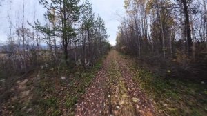 Лобовой краш-тест двух "Mario-5"