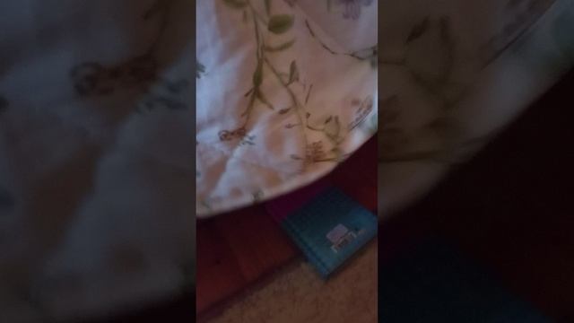 стражницы варлиса 1 сезон 4 серия