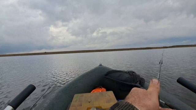 Расставил КРУЖКИ на хищника. Попал плд дождь. Поклевки не заставили себя долго ждать.