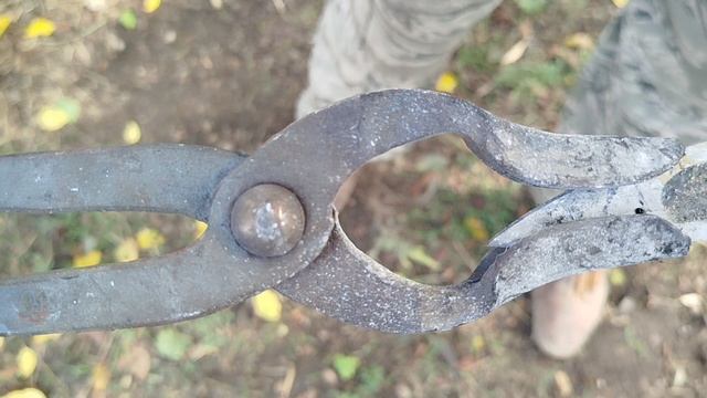 Немного про клещи, первая серия