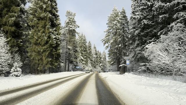 Новогоднее настроение, Заснеженная дорога