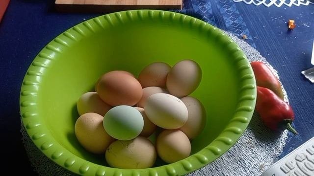 Замуровала окно. Кабачки растут. Урожай черриков. Занеслись молодки.