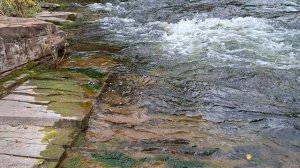 ЗАГАДКИ Природы ("нарезы" на берегу реки Куленги), 20250907_132414