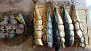 Скумбрия холодного копчения в термокамере Профессионал Умный Дым