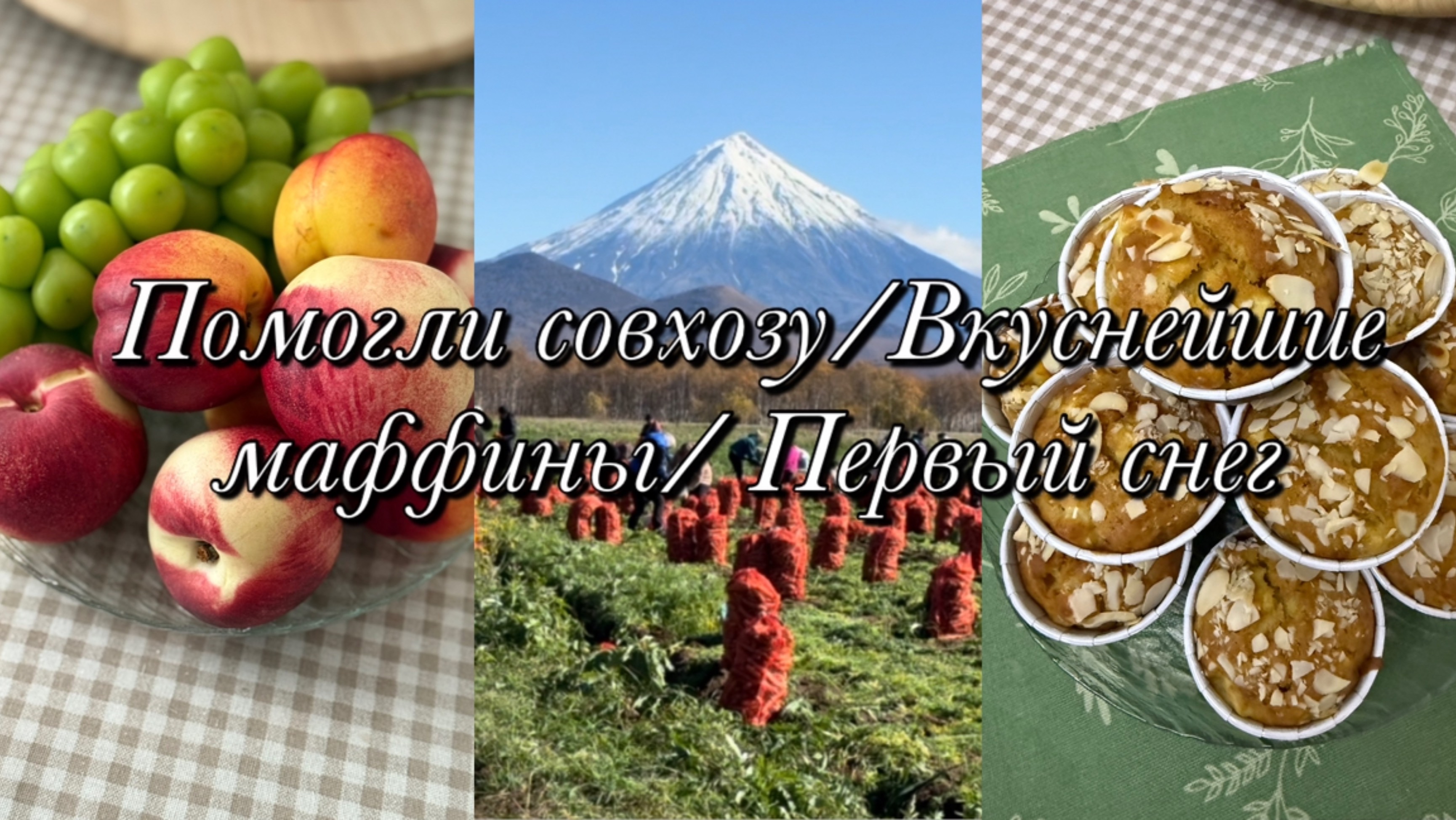 Помогли совхозу 🥕🥕🥕Вкуснейшие маффины🧁Первый снег❄️