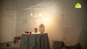 Ветка-светильник. Оригинальное решение для освещения и декора