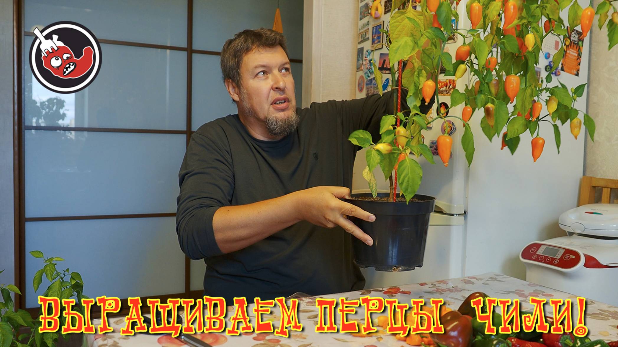 А что домашние перцы? Их есть у меня!