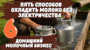 5 способов охладить молоко без электричества. Домашний молочный бизнес ч.6  #переработкамолока