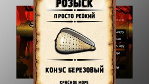 Редкости рр3. Конус березовый рр3. Красное море.