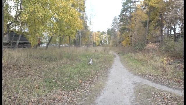 Депутаты озвучили главе Заречного ряд городских проблем