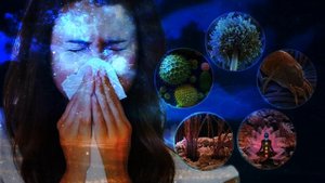 Сайт Гаряев-Матрицы.РФ Сентябрь-2025 CDАвгуст 2025 Матрица Гаряев-оригинальная-protiv-allergii-progr