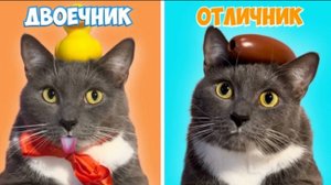 Если бы котики ходили в школу - типы учеников в школе