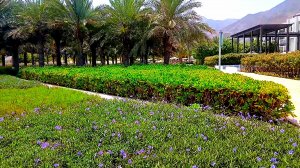 INTERCONTINENTAL FUJAIRAH RESORT. ИНТЕРКОНТИНЕТАЛЬ ОБЗОР ОТЕЛЯ. Отдых в ОАЭ. Фуджейра