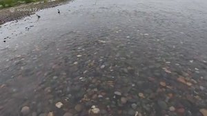 1000068163.mp4