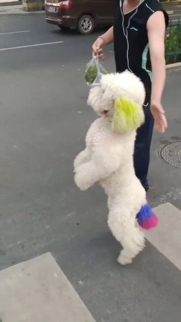 1000008592.mp4