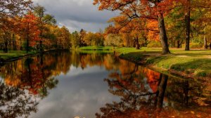 Золотая осень