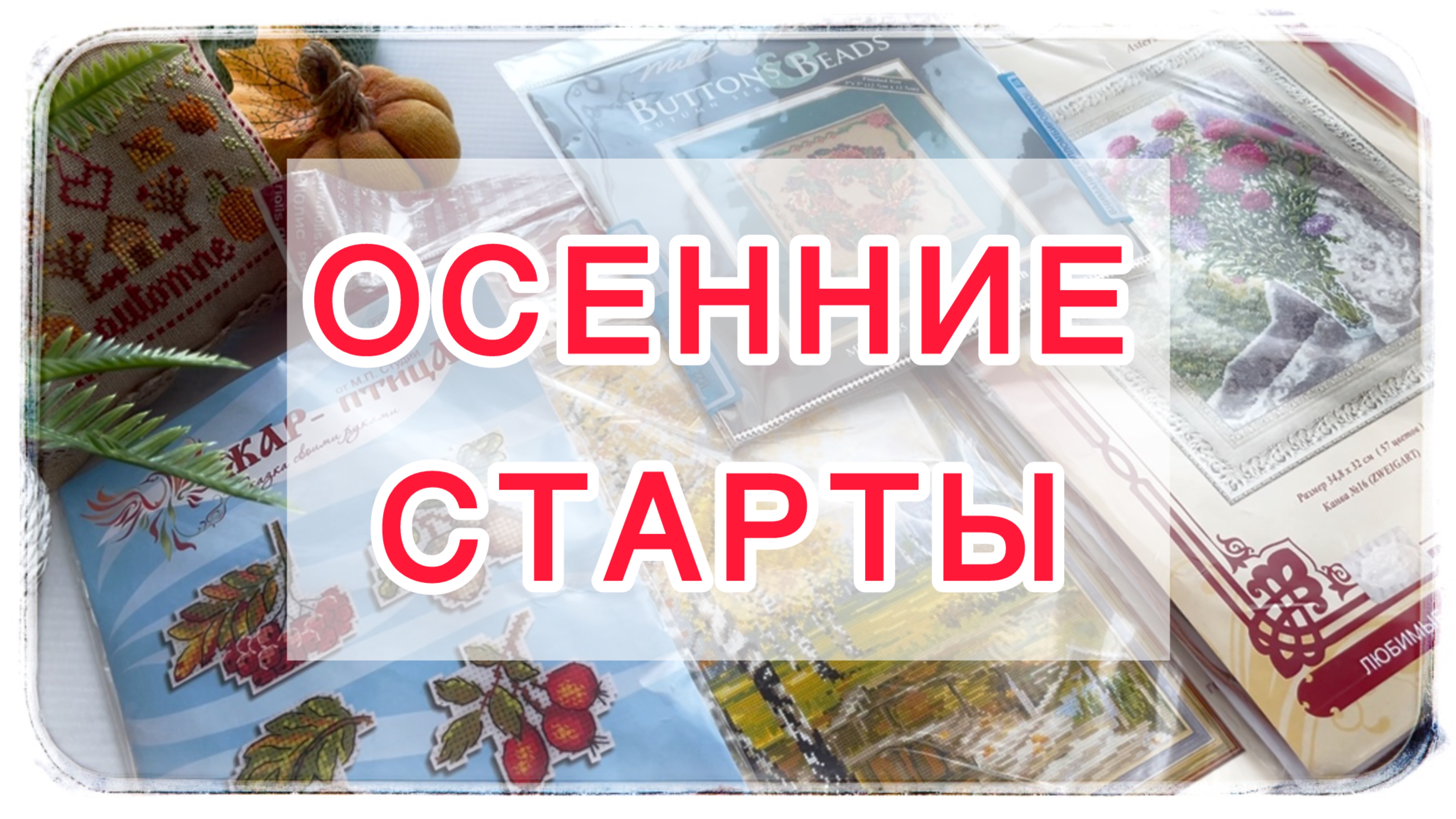 🍁 Осенние старты 🍁 Золотое руно | Жар-Птица | Риолис | Mill Hill 🍁