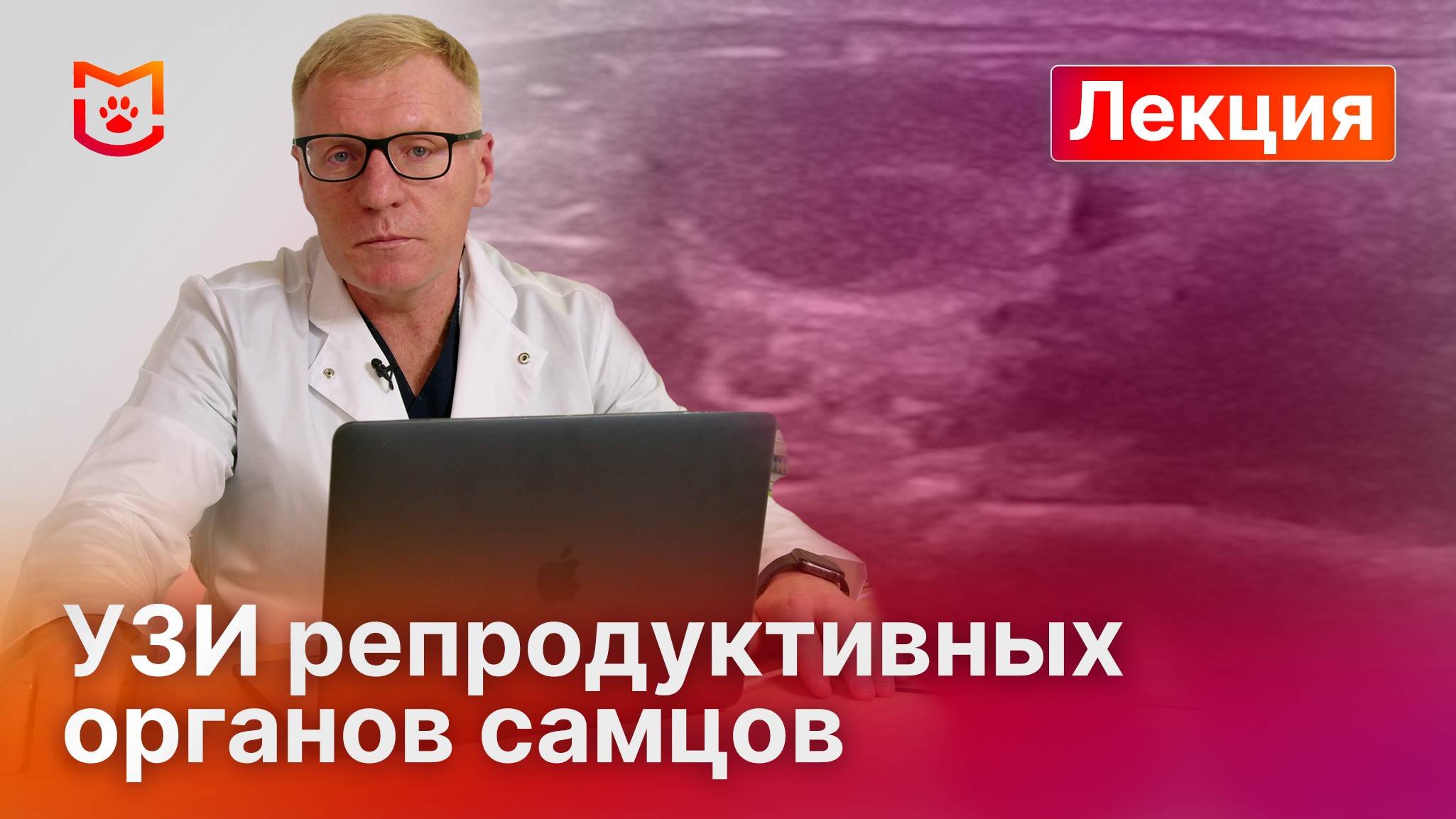 УЗИ репродуктивной системы самцов: практическое руководство