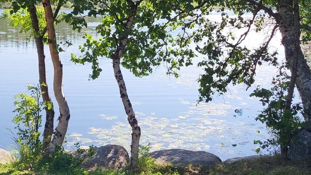 Анзер. Anzersky Island Of The Solovetsky Archipelago
