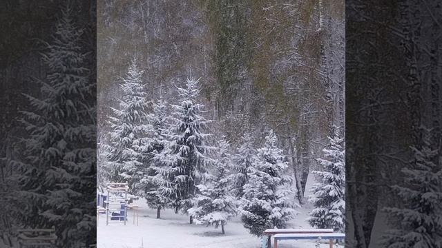 красота природы