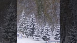 красота природы