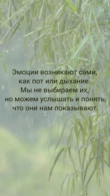 Эмоции возникают сами...