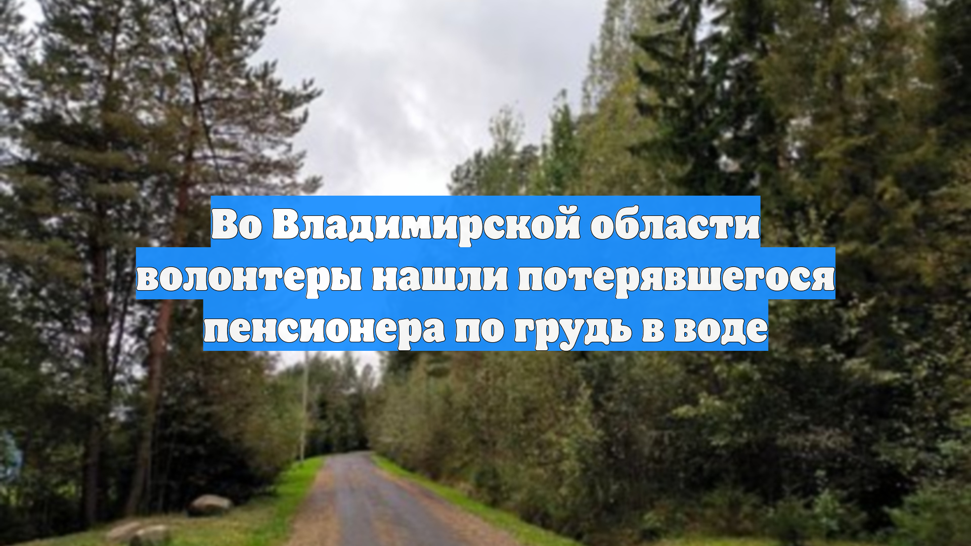 Во Владимирской области волонтеры нашли потерявшегося пенсионера по грудь в воде